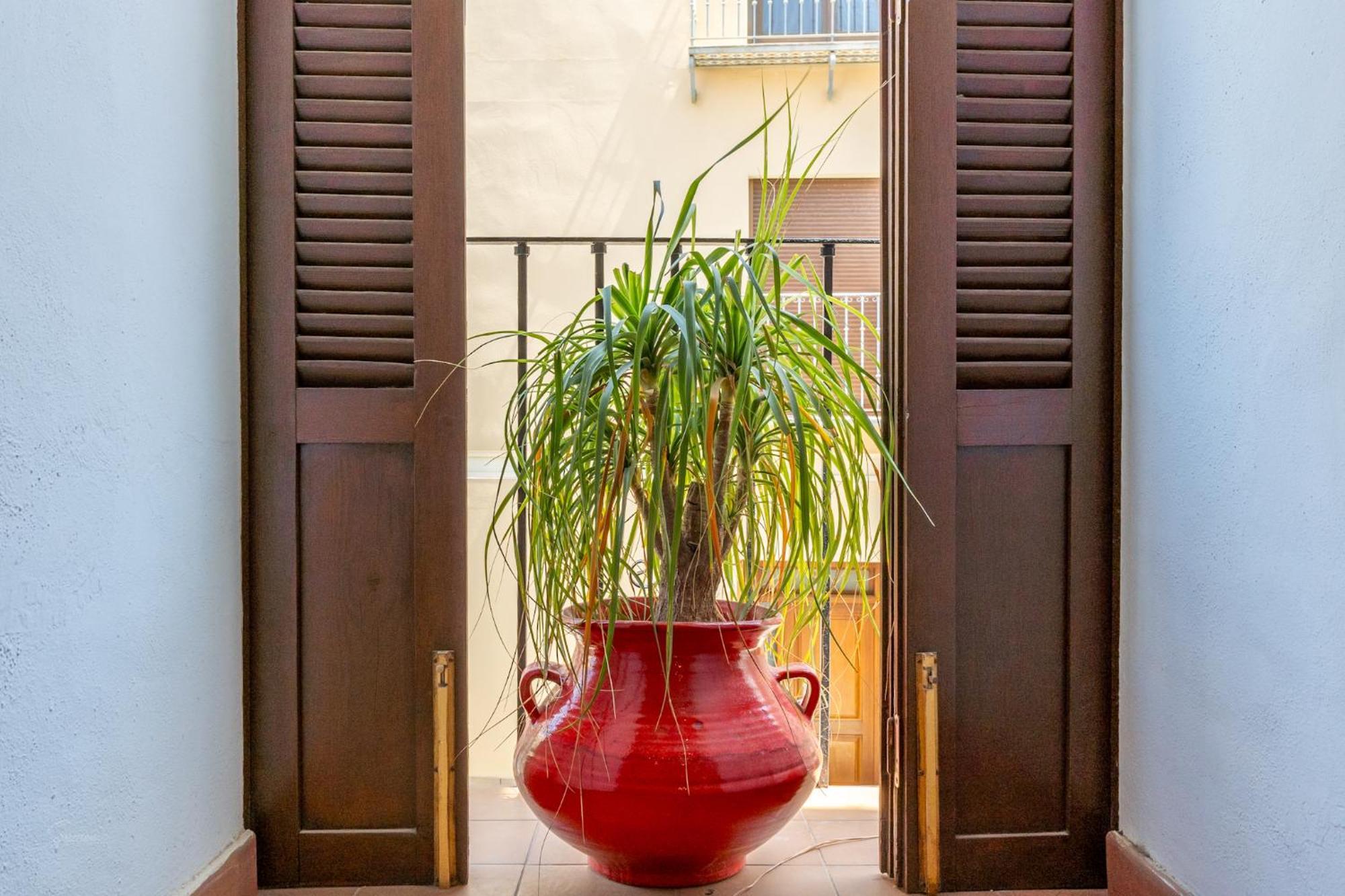 Appartement Denia Townhouse Extérieur photo